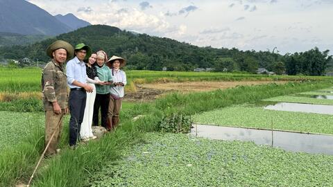Bình Lư: Hiệu quả bước đầu từ mô hình nuôi ốc nhồi thương phẩm