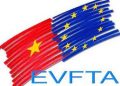 Một số tài liệu tổng quan về Hiệp định EVFTA