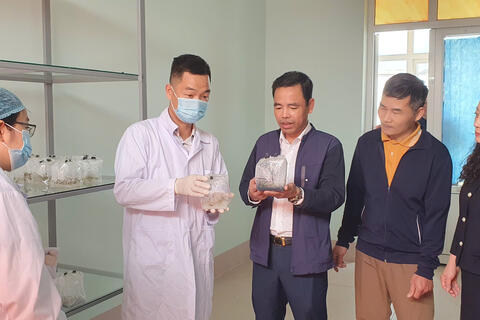 Các hoạt động của Sở