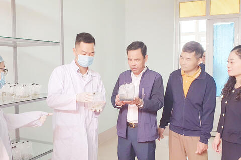 Ban Giám đốc Sở thăm phòng nuôi cấy mô tại Trung tâm Kiểm định và Phát triển KHCN