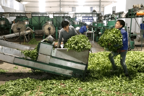 Tăng cường hiểu biết pháp luật lao động – Bảo vệ quyền lợi người lao động tại Lai Châu