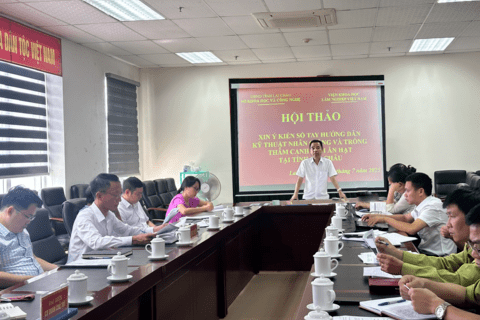 Hội thảo xin ý kiến "Sổ tay hướng dẫn kỹ thuật nhân giống và trồng thâm canh giổi ăn hạt tại tỉnh Lai Châu"