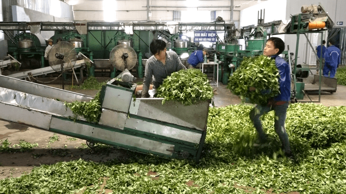 Tăng cường hiểu biết pháp luật lao động – Bảo vệ quyền lợi người lao động tại Lai Châu