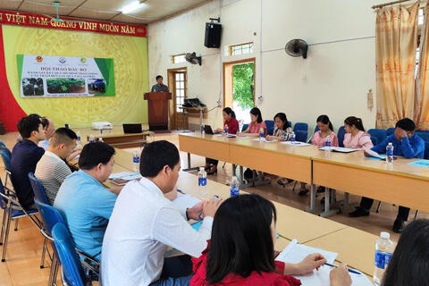 Hội thảo đầu bờ đánh giá kết quả mô hình nhân giống cây trám đen lấy quả tại Lai Châu
