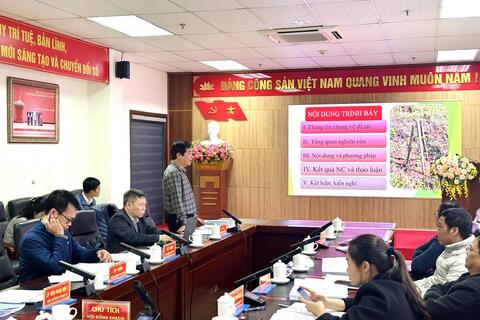 Hội đồng tư vấn đánh giá nghiệm thu kết quả nhiệm vụ KH&CN “ Xây dựng mô hình thử nghiệm giống Ba Kích tím tại tỉnh Lai Châu”.