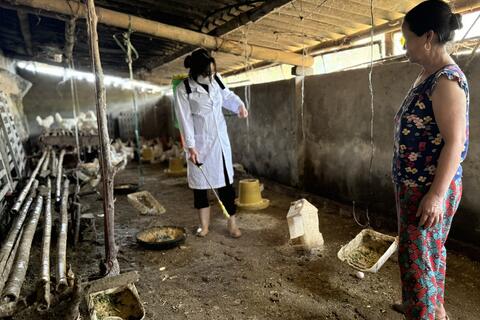 THỬ NGHIỆM SẢN XUẤT CHẾ PHẨM IMO DẠNG LỎNG ĐỂ XỬ LÝ MÙI HÔI TRONG CHĂN NUÔI VÀ NHÀ VỆ SINH