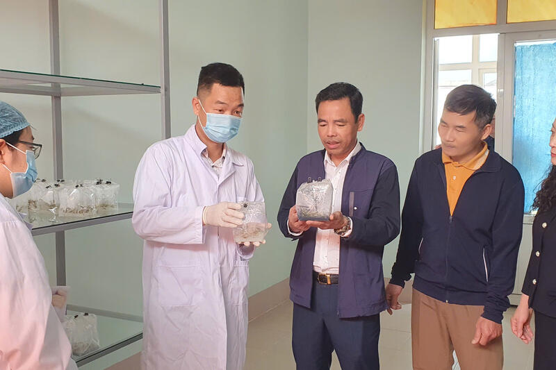 Các hoạt động của Sở